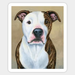 Brindle and White Pitbull Terrier Dog Sticker